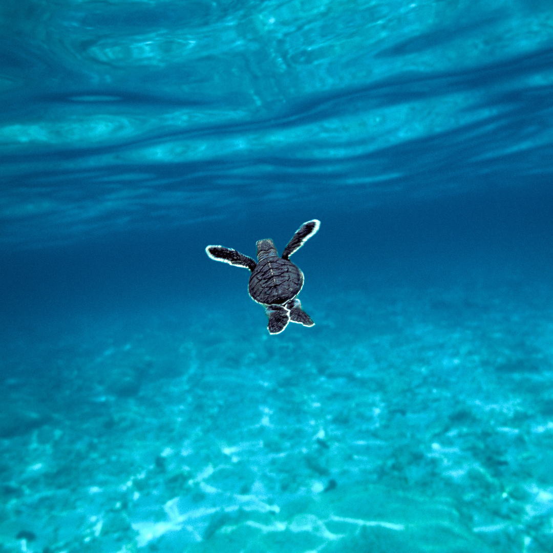 280469c129078009f23c15f0c0e28c8b